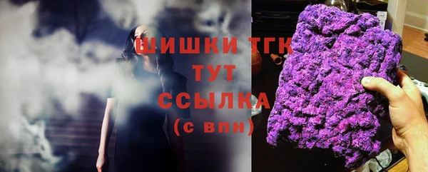spice Михайлов